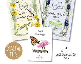 Complete Butterfly unit study, Butterflies printable, spring unit study, butterfly life cycle, nature study, spring learning pack