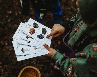 Fungi Identification cards, Mushroom study, homeschool resources, nature study bundle