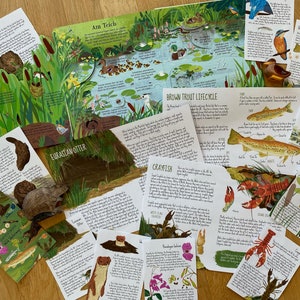Complete Rivers unit study, Waterways homeschool, Summer learning pack, homeschool bundle, trout life cycle, beaver study, kids nature kit