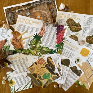 May include: A collection of educational prints about slugs and snails, featuring illustrations and text. The prints include topics like slug anatomy, life cycle, diet, and the tragic love story of a snail. A toy dinosaur and snail shells are also present.
