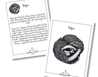 Winter animal flash cards, hibernation unit study, Winter Printable, Hibernation