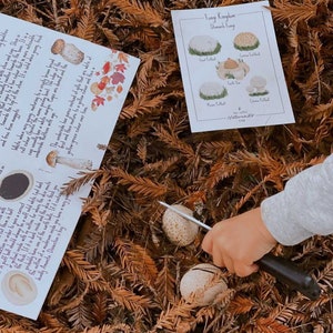May include: A child's hand with a knife dissecting puffball mushrooms, alongside educational cards detailing various fungi. The cards, with illustrations and text, are set on a bed of brown leaves, promoting a learning experience.