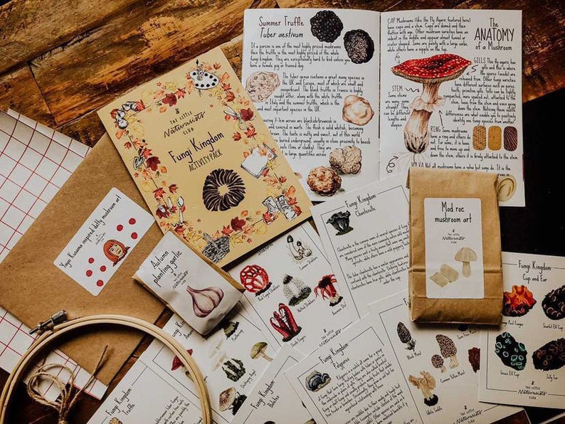 May include: A collection of educational resources displayed on a wooden surface. The items include a booklet titled "Fungi Kingdom Activity Pack", illustrated cards, and a paper bag labelled "Mod roc mushroom art". The theme is focused on mushrooms and fungi.