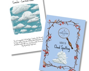 Cloud unit study, cloud identifier, Weather unit study, Weather cards, types of clouds