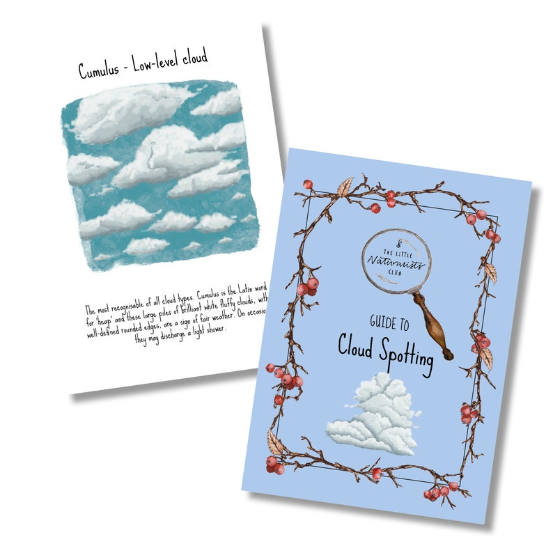 Op de afbeelding: Twee ge&iuml;llustreerde gidsen. E&eacute;n toont een blauwe lucht met witte cumuluswolken en de tekst: "Cumulus - Low-level cloud." De andere, een lichtblauwe omslag, luidt "Guide to Cloud Spotting" met een vergrootglas en "The Little Naturalists Club."
