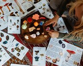 Mushroom study, Fungi Homeschool resources, Mushroom anatomy