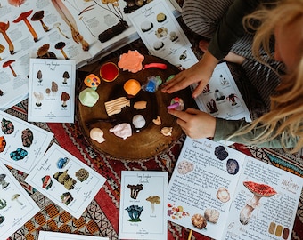 Onderzoek naar paddenstoelen, bronnen voor thuisonderwijs voor schimmels, anatomie van paddenstoelen