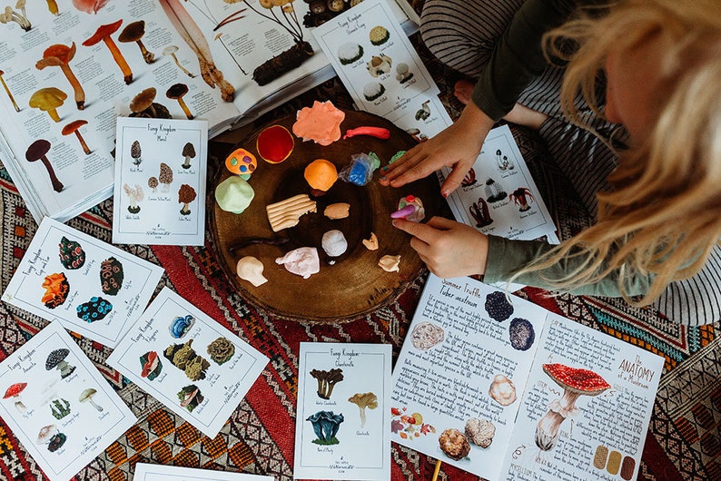 May include: Educational mushroom-themed activity set. Includes illustrated cards, a book, and colourful clay models on a wooden slice. The cards feature various mushroom species, perfect for learning and creative play.