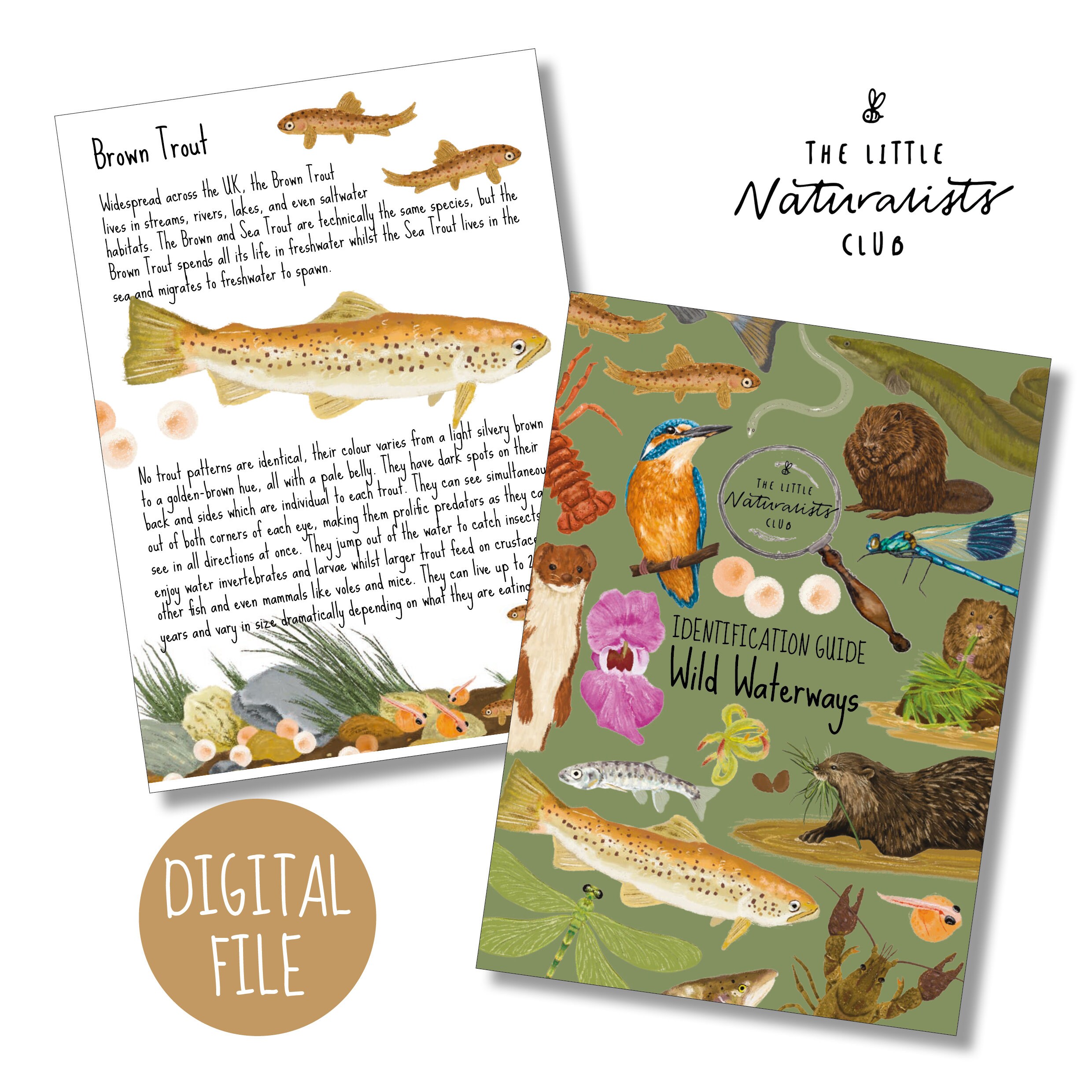 River Wildlife Identification Cards /booklet Waterways Unit Etsy