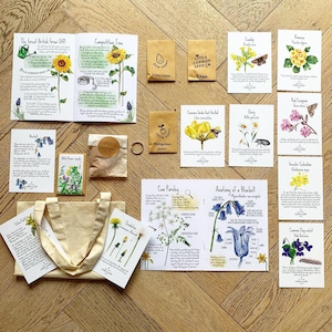 Puede incluir: Una colección de sobres de semillas, ilustraciones botánicas y una bolsa de lona se disponen sobre una superficie de madera. Las ilustraciones representan diversas flores y plantas, con etiquetas detalladas y nombres científicos. Los sobres de semillas están etiquetados con "Grow Happy" y "Little Cornish Seed Co."