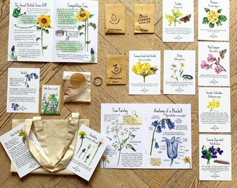 Volledige Wildflower-studie, lente-eenheidstudie, homeschool-ambachten, Montessori-prints, levenscyclus van paardenbloem, bloemanatomie
