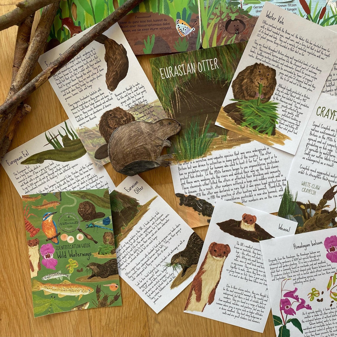 River Wildlife Identification Cards /booklet Waterways Unit Etsy