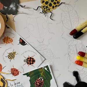 May include: A collection of insect-themed art supplies, including coloring pages with ladybug outlines, colored pencils, and illustrated cards. A wooden magnifying glass and cut-out insect shapes are also present, creating a creative and educational theme.