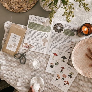 May include: A craft kit with the text "Make Your Own Modroc Mushrooms" and "Mod roc mushroom art". The kit includes instructions, mushroom illustrations, scissors, and a lit candle. The scene is set on a textured, off-white surface.