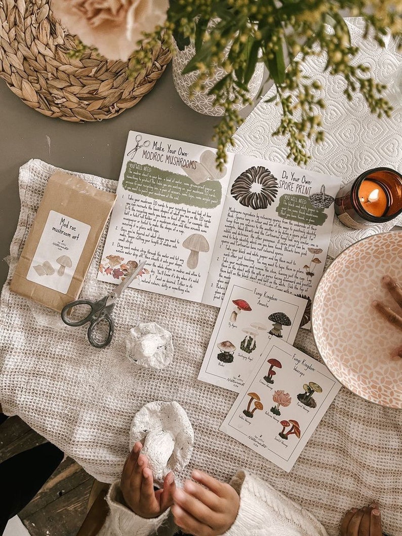 May include: A craft kit with the text "Make Your Own Modroc Mushrooms" and "Mod roc mushroom art". The kit includes instructions, mushroom illustrations, scissors, and a lit candle. The scene is set on a textured, off-white surface.