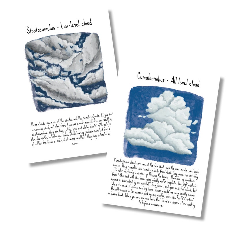 Op de afbeelding: Twee educatieve prints over wolken. De eerste print toont een Stratocumulus-wolk met de tekst "Stratocumulus - Low-level cloud". De tweede print toont een Cumulonimbus-wolk met de tekst "Cumulonimbus - All level cloud".