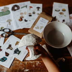 May include: A person holds a white, textured mushroom sculpture. The image includes illustrated cards, a bowl, scissors, and a small packet. The cards display mushroom illustrations and text. The items are arranged on a wooden surface.