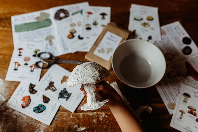 May include: A person holds a white, textured mushroom sculpture. The image includes illustrated cards, a bowl, scissors, and a small packet. The cards display mushroom illustrations and text. The items are arranged on a wooden surface.
