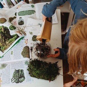 May include: A child is seen from above, pouring soil into a glass terrarium. Educational materials on plants, including a book titled "Ancient plants" and a container of moss, are on the table.