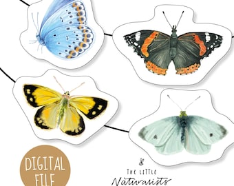 May include: Digital file featuring four butterfly illustrations. The butterflies are in various colors, including blue, yellow, black, and orange. The text "DIGITAL FILE" is in a brown circle, and the text "The Little Naturalists Club" is also present.