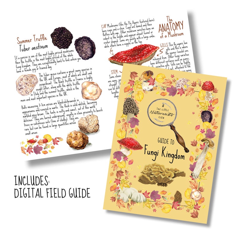 May include: Two illustrated pages from "The Little Naturalists Club Guide to Fungi Kingdom." One page details summer truffles, the other, mushroom anatomy. The guide includes a digital field guide.