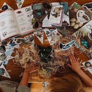 May include: An open book and various educational materials about birds and nests are arranged on a wooden surface. The materials include illustrations of nests, eggs, and birds, along with decorative elements like feathers and paper cutouts.