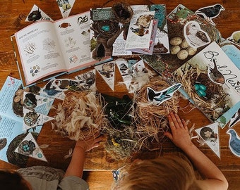 Complete broedvogelstudie-eenheid, montessori, waldorf, bosschool, charlotte metselaar, natuureducatie