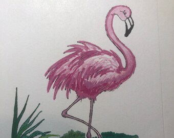 Flamingo 1