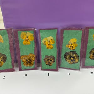 Bookmarks, flowers