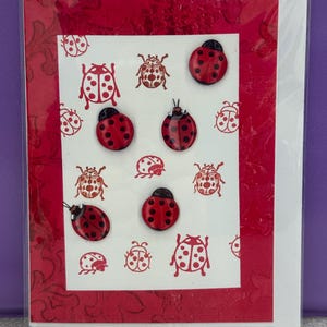 carta coccinella
