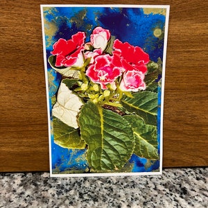 flor, gloxinia
