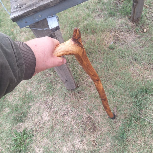 Handcrafted Walking Cane for Grounding, Transformation, and Clarity | Unique Spalted Grain with Crystal-Ready Handle
