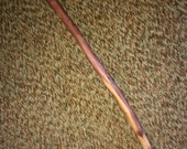 Red Cedar cane. Rustic