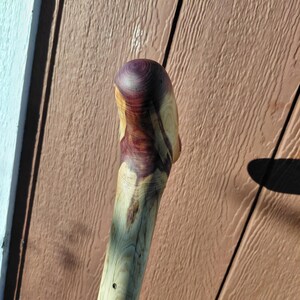 K&ouml;nnte beinhalten: Handgefertigter Holz-Spazierstock mit glattem, abgerundetem Kopf. Der Kopf zeigt einen Wirbel aus tiefen Lila- und Rotbraunt&ouml;nen, der in eine hellere, nat&uuml;rliche Holzmaserung &uuml;bergeht. Der Stock besteht aus hellem Holz mit nat&uuml;rlichen Knoten und Maserungen.