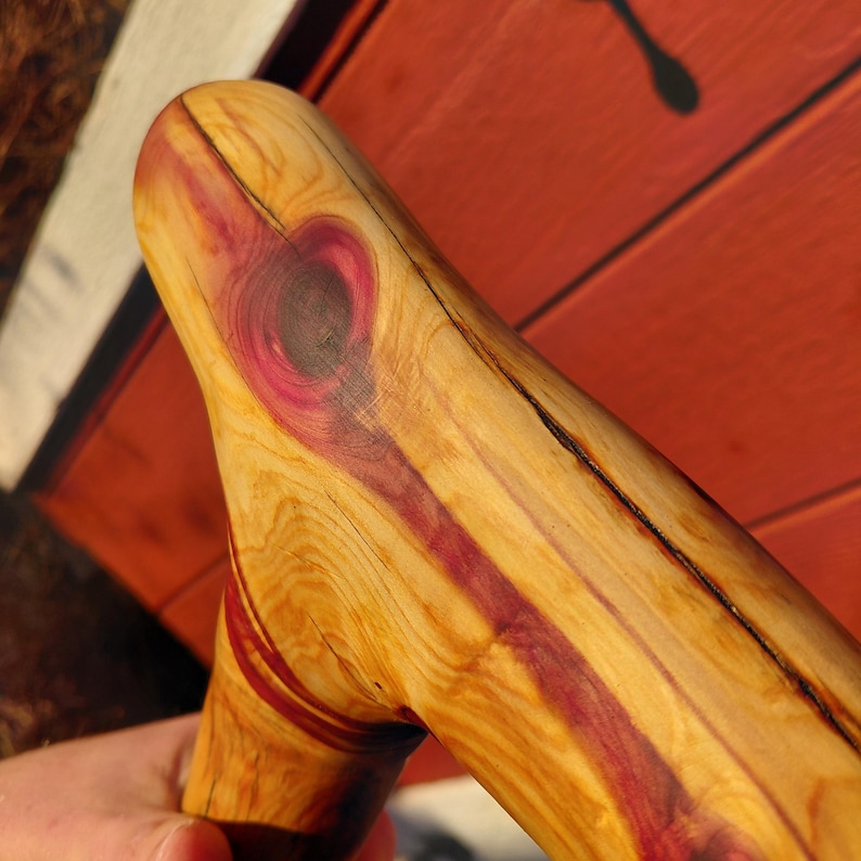 K&ouml;nnte beinhalten: Nahaufnahme eines Holzgriffs f&uuml;r einen Gehstock. Der Griff besteht aus hellem Holz mit auff&auml;lligen roten und violetten Maserungsmustern. Das Design weist eine gebogene Form auf, die die nat&uuml;rliche Holzmaserung und Farbvariationen hervorhebt.