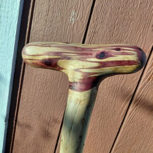 K&ouml;nnte beinhalten: Ein handgefertigter Holzspazierstock mit einem T-f&ouml;rmigen Griff. Der Griff weist eine Mischung aus hellbraunen und tief burgunderfarbenen Holzmaserungsmustern auf. Der Schaft ist in einem helleren Holzton gehalten und zeigt nat&uuml;rliche Texturen.