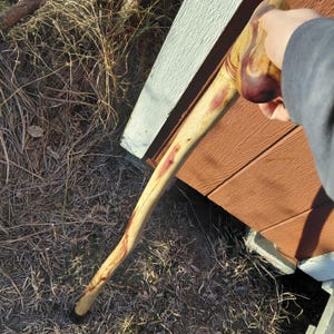 K&ouml;nnte beinhalten: Handgefertigter Wanderstock aus Holz mit gebogenem Griff. Der Stock ist hellfarben mit r&ouml;tlich-violetten Streifen und einer schwarzen Gummispitze. Der Griff hat eine dunklere, rotbraune Farbe.