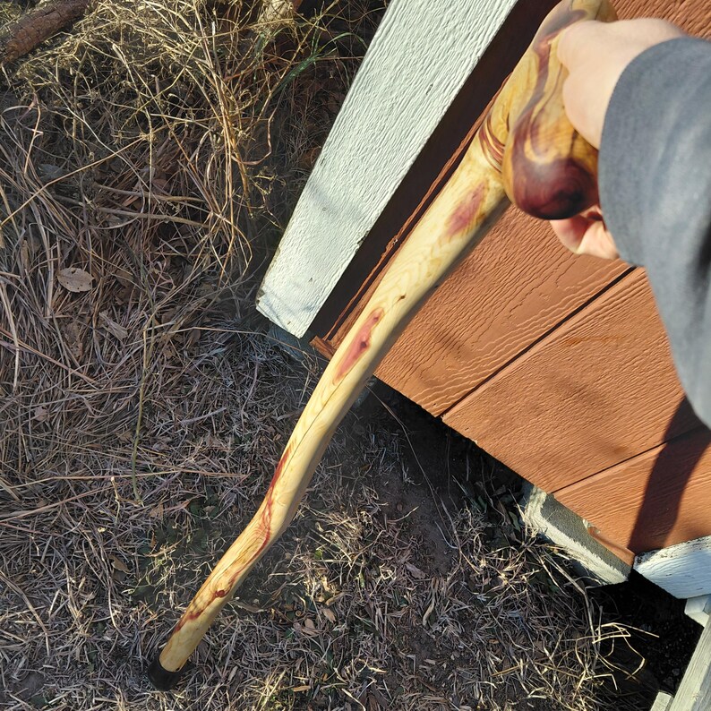 K&ouml;nnte beinhalten: Handgefertigter Wanderstock aus Holz mit gebogenem Griff. Der Stock ist hellfarben mit r&ouml;tlich-violetten Streifen und einer schwarzen Gummispitze. Der Griff hat eine dunklere, rotbraune Farbe.