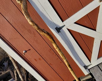 Green Wizard Staff - Spalted Ash with Bobcat Skull Clear Quartz Moss Agate Aventurine Amethyst