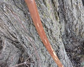 Sustainably Sourced Eastern Red Cedar Heartwood Cane Glass Smooth Natural Finish