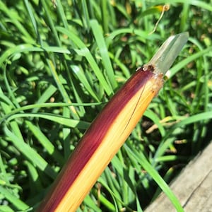 Wildfire Eastern Red Cedar Wand with Clear Quartz Point, Quartz and Tiger&#39;s Eye Chips for Protection, Cleansing, Balance, and Amplification