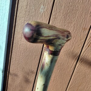 K&ouml;nnte beinhalten: Ein handgefertigter Holzspazierstock mit rundem Griff. Der Griff weist einen Wirbel aus tiefviolettem und beigem Holzmaserung auf. Der Schaft ist heller mit violetten Streifen. Der Stock ist aus Naturholz gefertigt.