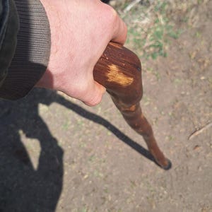 Black Walnut Cane – Handcrafted Walking Stick for Grounding, Protection & Transformation – Magical Tool or Ritual Staff