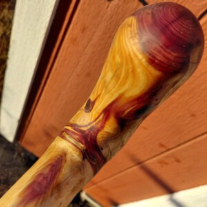 K&ouml;nnte beinhalten: Handgefertigter Holz-Spazierstock mit abgerundeter Spitze. Die Maserung zeigt eine Mischung aus warmen Gelb- und Rot-Violett-T&ouml;nen. Das Design des Stocks zeigt nat&uuml;rliche Knoten und Muster, was seinen einzigartigen Charakter unterstreicht.