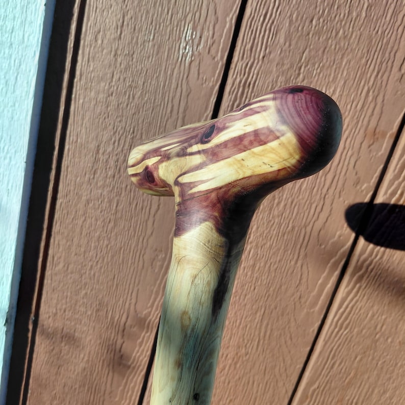 K&ouml;nnte beinhalten: Handgefertigter Holz-Spazierstock mit nat&uuml;rlichem Maserungsmuster. Der Griff hat eine abgerundete Form mit einem tiefen rot-violetten Farbton, der mit dem helleren, gelblich-braunen Schaft kontrastiert. Der Stock besteht aus einem einzigen Holzst&uuml;ck.