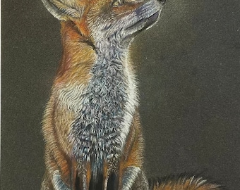 Fox giclee print