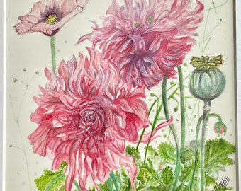 Flowers … poppies in watercolour