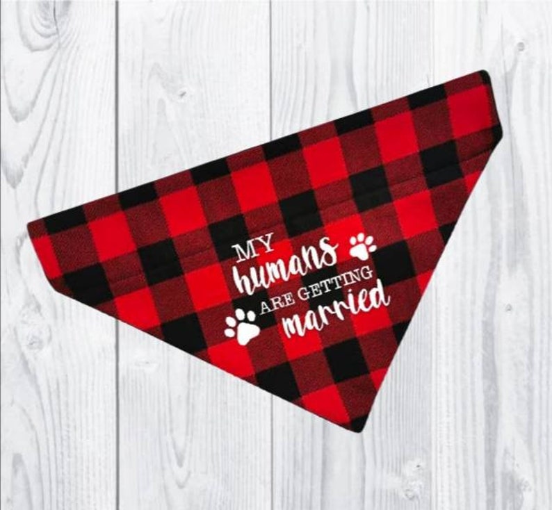 Marriage announcement Will you marry Dad Personalized dog Bandanas Will you marry mom?