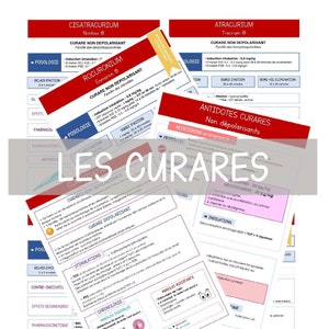 Curares | 8 pages | IADE review sheet | Digital file only
