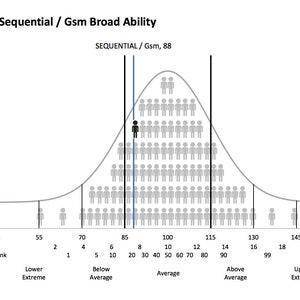 Excel Bell Curve Graphs With Icons for Psychoeducation Evaluation - Etsy